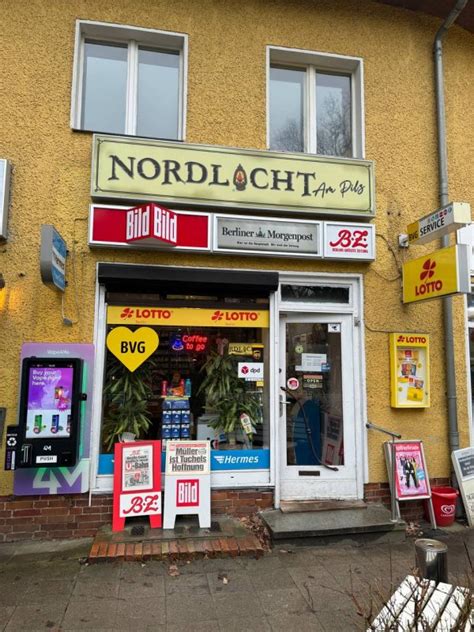 nordlicht am pilz